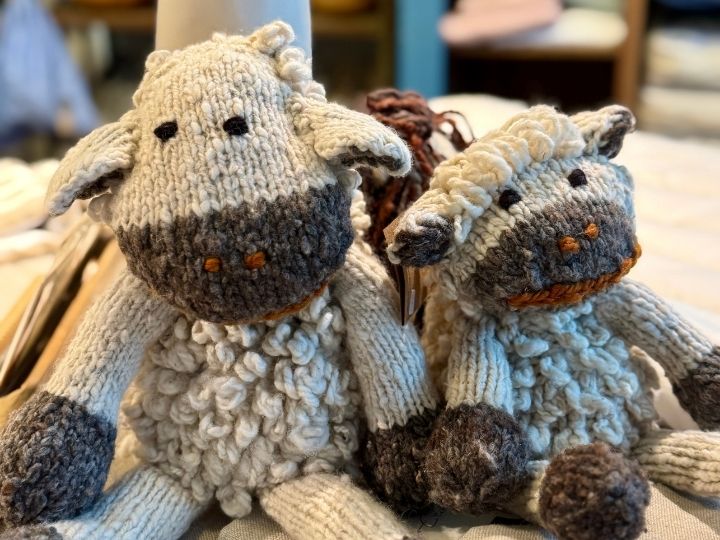 friesenfaser Tönning - Wolle aus der Region Nordfriesland