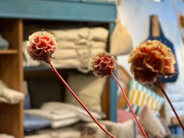 Decken und Bettdecken aus Schafswolle