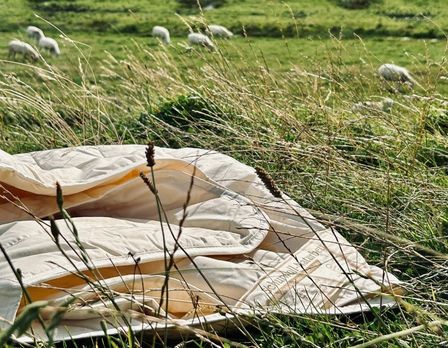 Wolle vom Deich direkt friesenfaser Bettdecke aus Schafswolle regional aus Nordfriesland